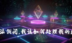 如果比特派倒闭，我该如何处理我的数