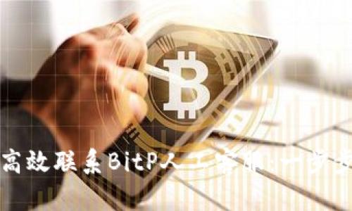 如何高效联系BitP人工客服:一步步指南