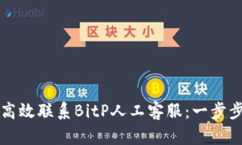 如何高效联系BitP人工客服:一步步指南