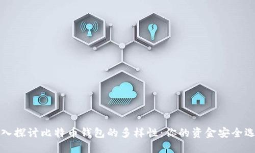 深入探讨比特币钱包的多样性:你的资金安全选择