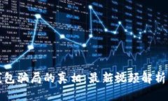 揭示BitP钱包骗局的真相：最新视频解