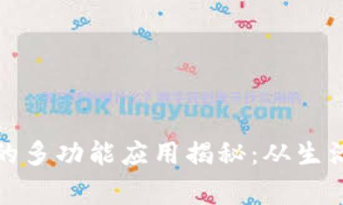 比特派护盾手表的多功能应用揭秘:从生活助手到健康管家