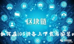 详细指南：如何在iOS设备上下载与安装