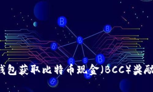 如何通过比特币钱包获取比特币现金(BCC)奖励:步骤与注意事项