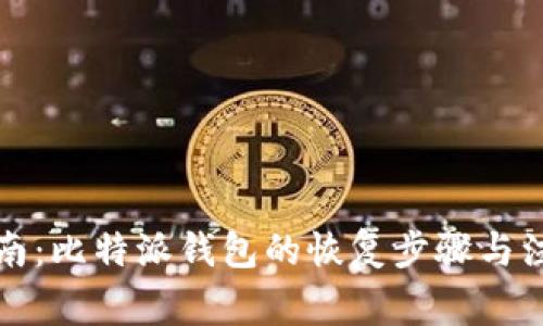 全面指南:比特派钱包的恢复步骤与注意事项