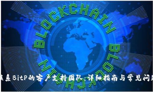 如何联系BitP的客户支持团队:详细指南与常见问题解答