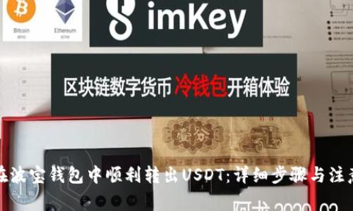 如何在波宝钱包中顺利转出USDT:详细步骤与注意事项