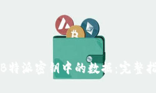 如何高效导出B特派密钥中的数据:完整指南与实践技巧