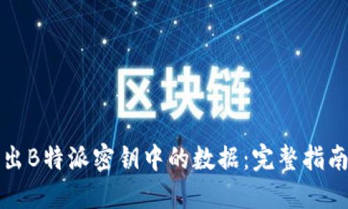 如何高效导出B特派密钥中的数据:完整指南与实践技巧