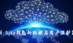 深入分析：Bitp钱包的现状与用户保护