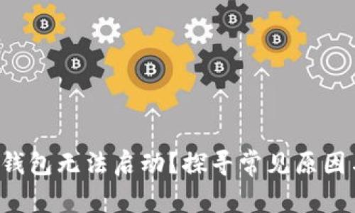 为何b特派钱包无法启动?探寻常见原因与解决方案